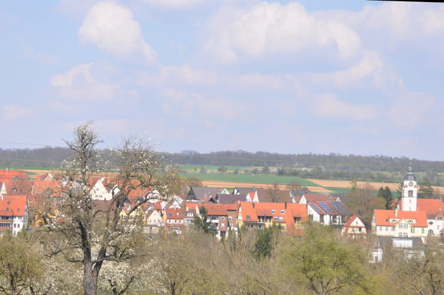 Blick auf die Häuser von Bietigheim-Bissingen
