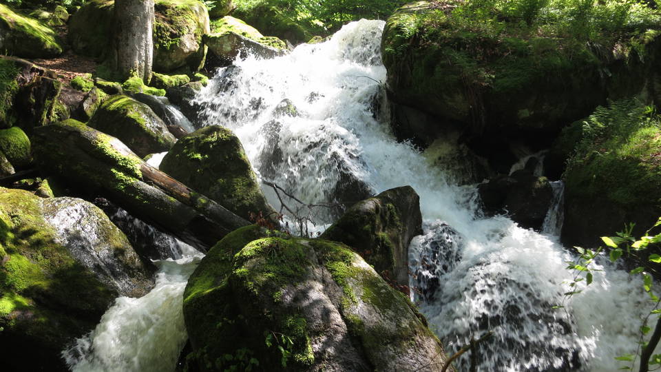 Gertelbach-Wasserfälle bei Bühlertal