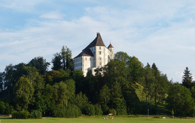 Hohes Schloss Bad Grönenbach über einem bewaldeten Hang