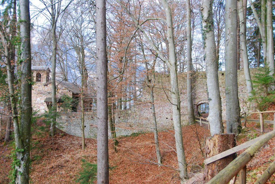 Rottenburg ab Rotholz – Familienrunde mit Notburgafichte und Knippingpark