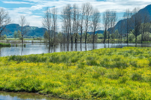Wasserflächen und Sumpfwiesen im Bleistätter Moor