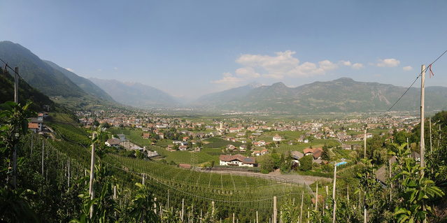 Panoramablick über Lana und das von Obstgärten geprägte Etschtal