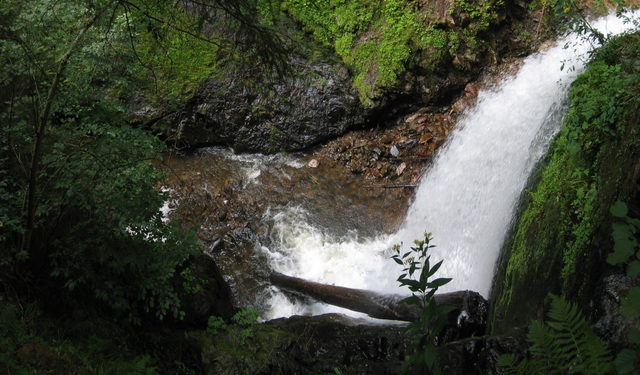 Wasserfall im bewaldeten Seitental der Ravenna