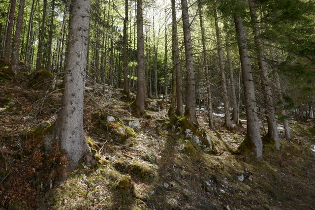 Wander- und Tallandschaft im Kaiserbachtal