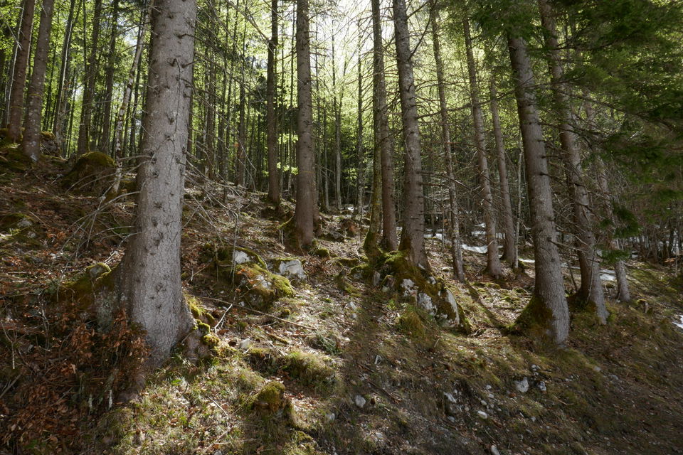 Radtour ins Kaiserbachtal – von Kirchdorf zur Griesner Alm und zurück