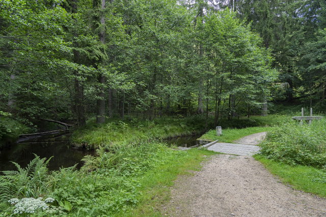Sonnenwaldbach und Schwarzenbergischer Schwemmkanal im Böhmerwald