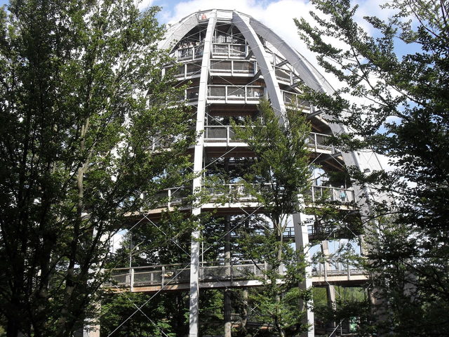 Aussichtsturm des Baumwipfelpfads Bayerischer Wald in Neuschönau zwischen grünen Bäumen.