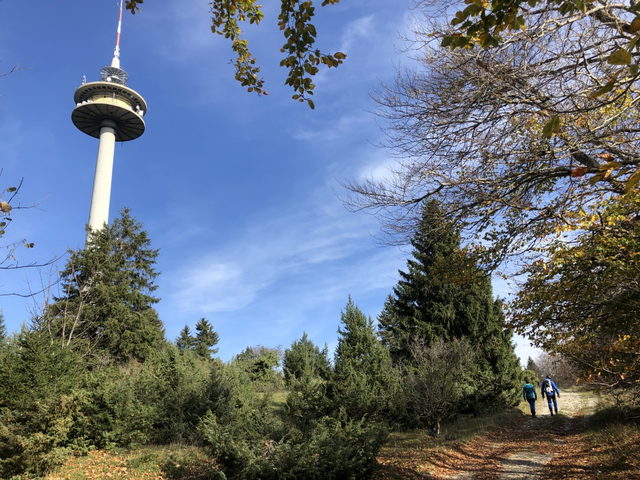 Wanderweg und Turm auf dem Plettenberg