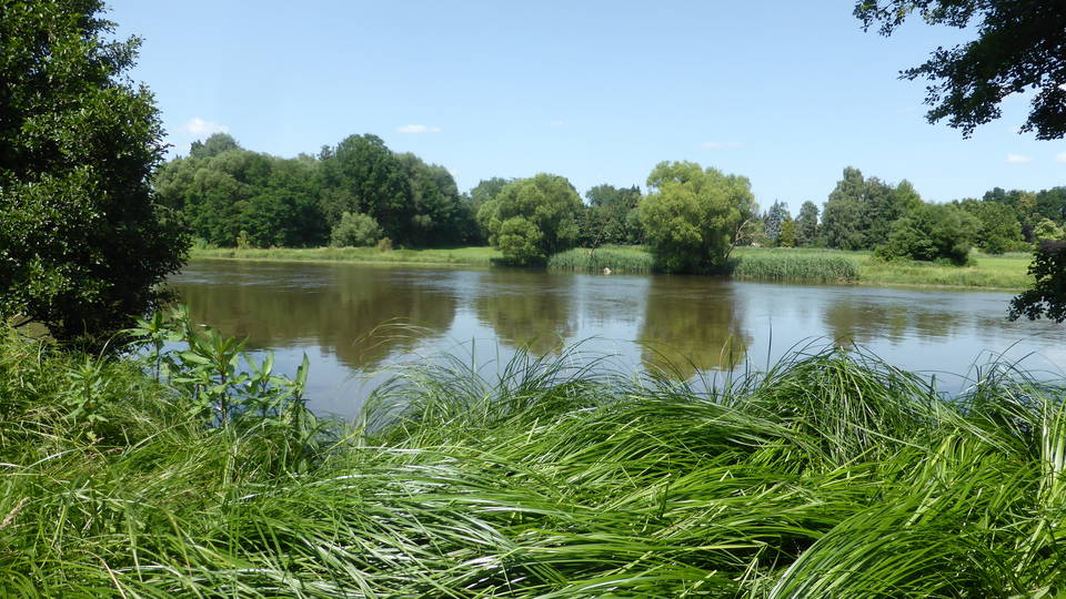 Kontextbild: Flusslandschaft des Regens bei Nittenau