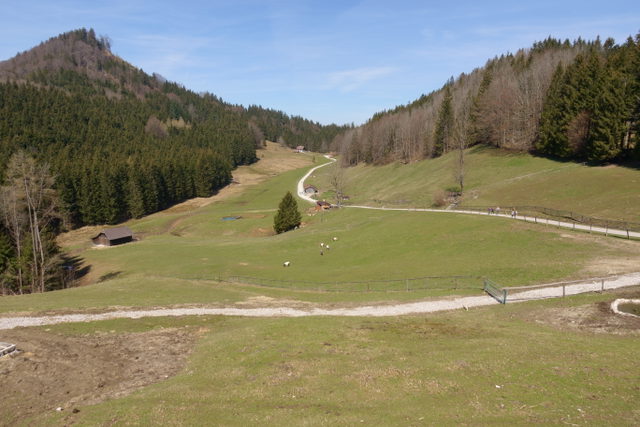 Hochsteinalm in der Gemeinde Traunkirchen