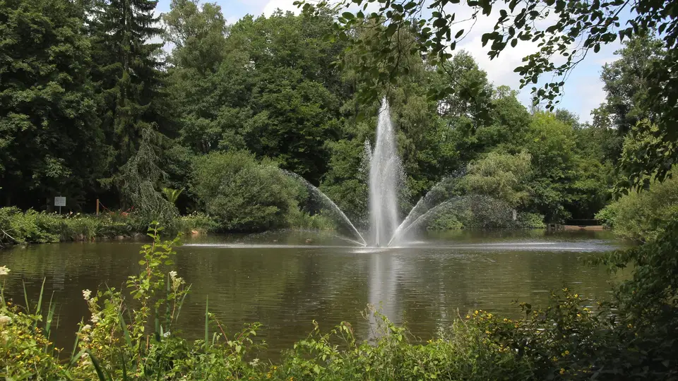 Teich mit Springbrunnen im Kurpark, von Bäumen umgeben.