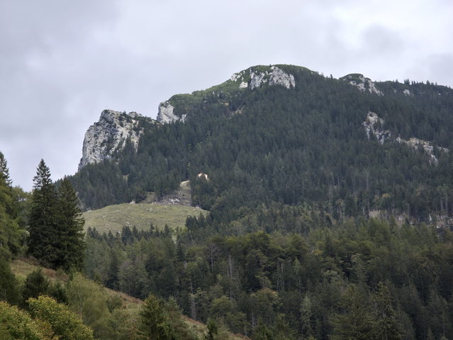 Naunspitze und Petersköpfl über dem Wald im Kaisertal