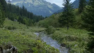 Kleinwalsertal ohne Bergbahn: drei Wanderungen mit unterschiedlichen Anforderungen