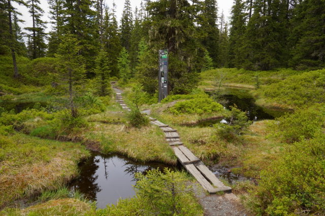 Lehrpfad an Moortümpeln im Rauriser Urwald