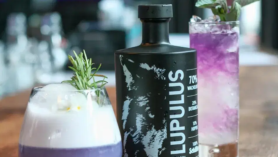 Zwei violette Cocktails neben einer schwarzen Lupulus-Ginflasche auf einem Holztisch
