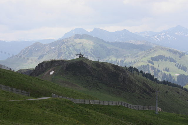 Bergblick vom Alpenblumengarten am Kitzbüheler Horn