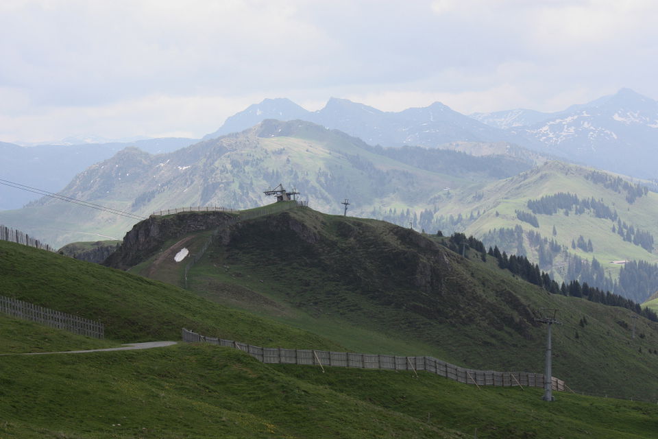 Durch den Alpenblumengarten am Kitzbüheler Horn