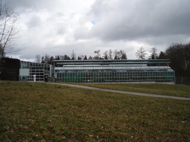 Verglastes Gewächshaus an einem bewaldeten Hang unter bewölktem Himmel