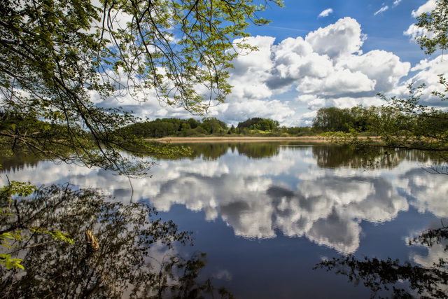 Rößlerweiher in der Gemeinde Schlier