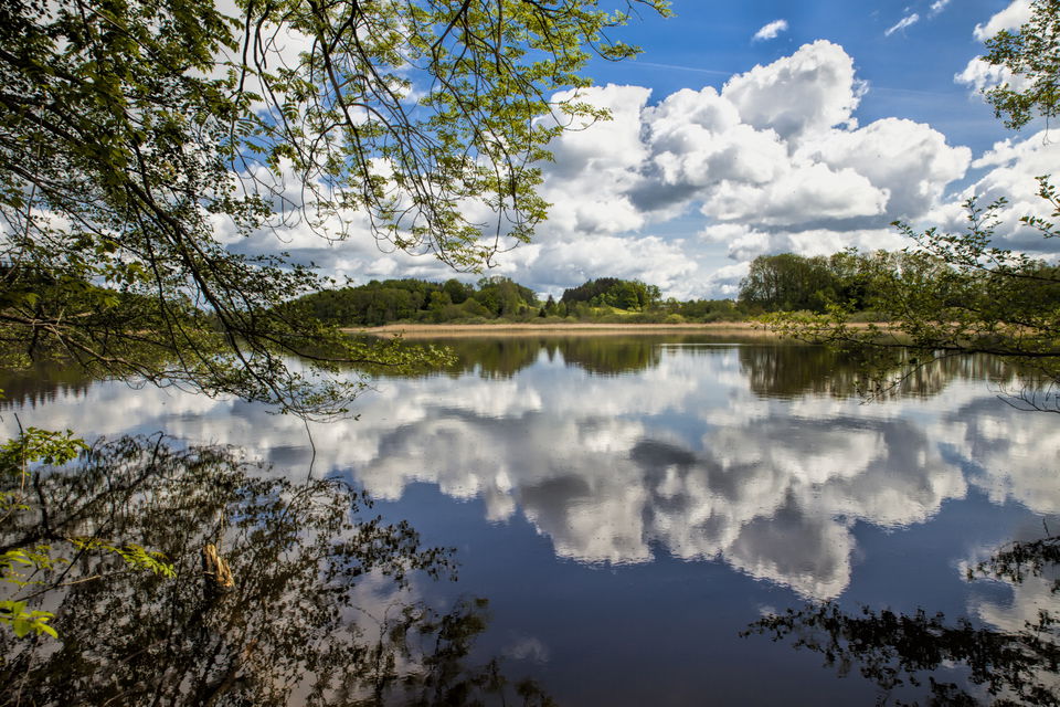 Städtle-Ländle-Tour Weingarten: von der Stadt zum Rößlerweiher