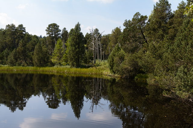 Blindensee mit bewaldetem Hochmoor am Ufer