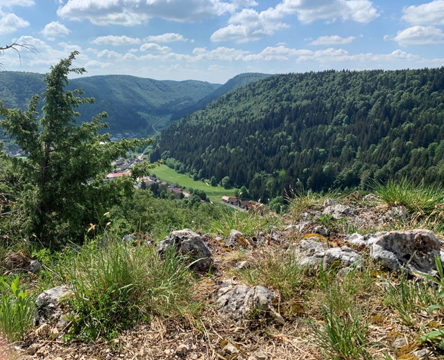 Blick vom Uhufelsen auf Nusplingen im Bäratal
