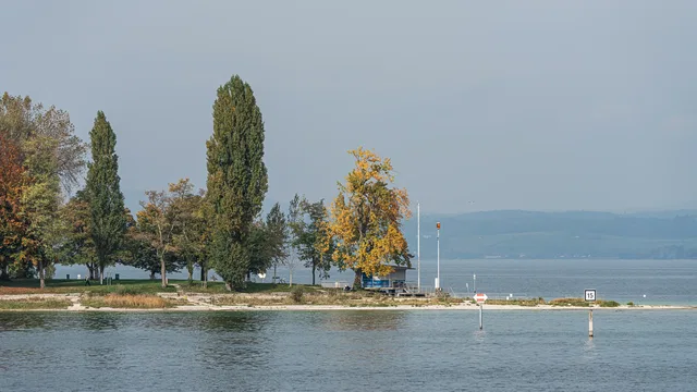 Bodensee-Ufer mit hohen Pappeln, Herbstfarben und ruhigem Wasser