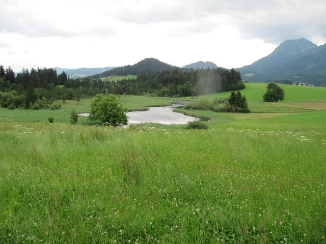 Egelsee bei Abtenau mit Wiesen und Berglandschaft