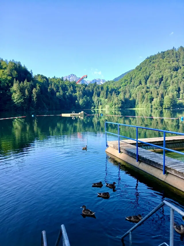 Freibergsee mit Steg, Wald und Bergkulisse
