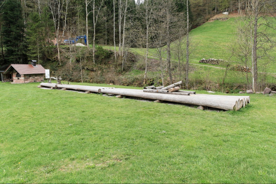 Tonbachsteig Baiersbronn – Oberer Zinken, Nationalparkwald und Flößerspuren
