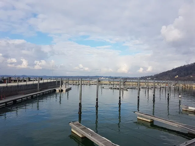 Bregenzer Bodenseeufer als Landschaftseindruck am Zielort.