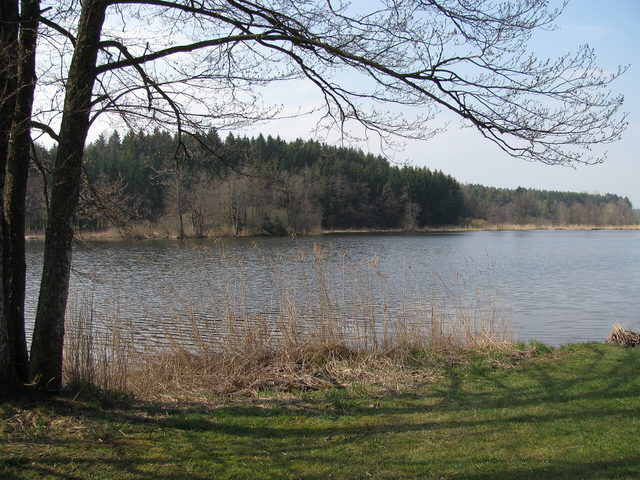 Holzmühleweiher bei Vogt