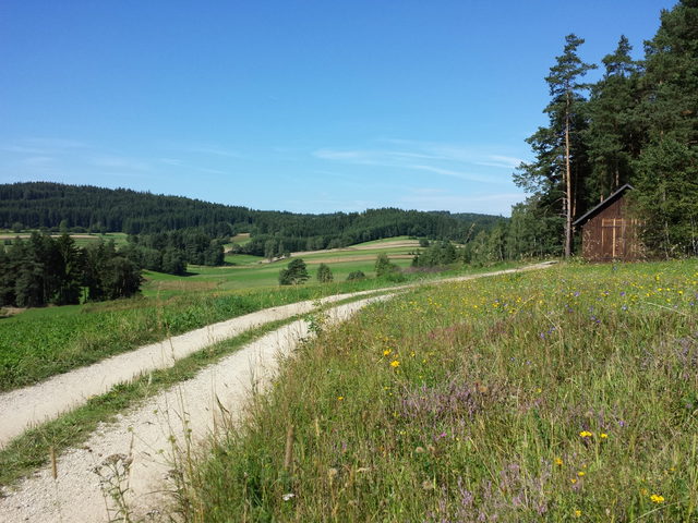 Waldviertler Feldlandschaft bei Griesbach im Gemeindegebiet Groß Gerungs