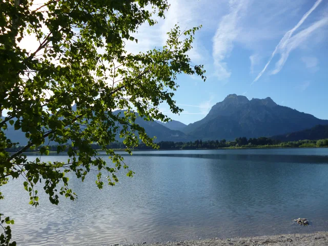 Forggensee-Blick mit Ufer, Baum im Vordergrund und distanter Berglandschaft
