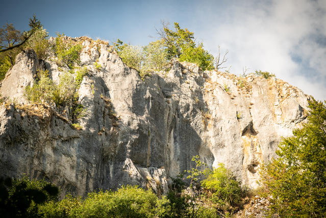 Kalkwand am Langen Felsen im Schmeiental