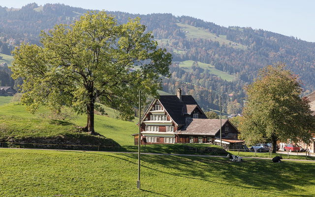 Historisches Toggenburger Haus in Brandholz bei Ebnat-Kappel