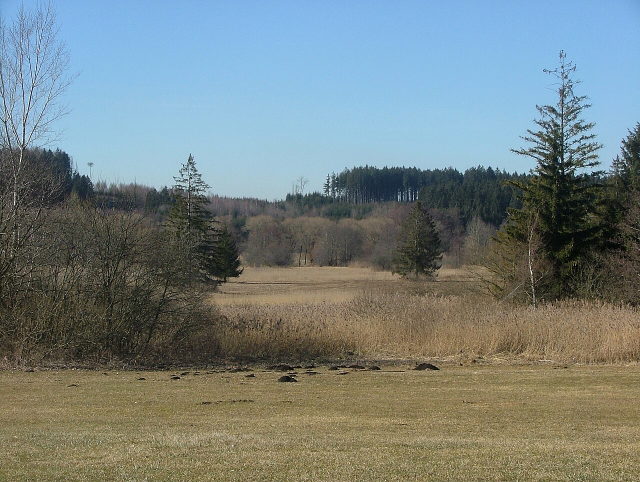 Offene Moorwiese und Schilf im Hundsmoor vor einem bewaldeten Talrand