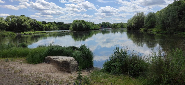 Auenlandschaft Zugwiesen am Neckar bei Ludwigsburg
