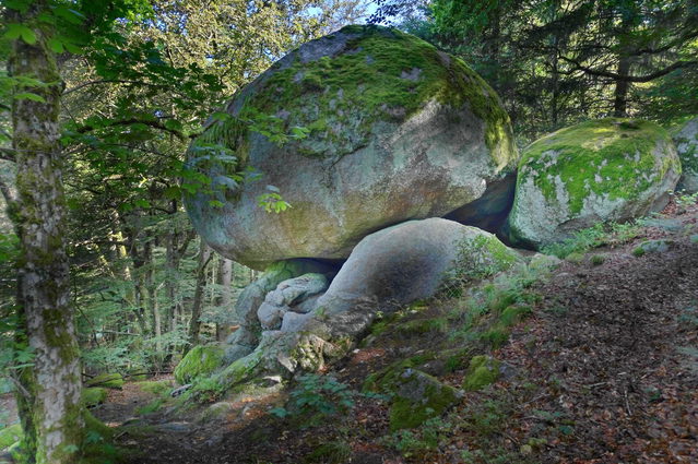 Der Solfelsen im Wald bei Rickenbach