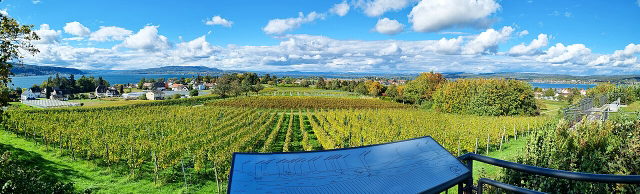 Blick von der Hochwart auf Weinberge der Insel Reichenau und den westlichen Bodensee.