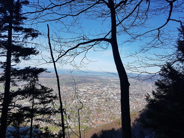 Blick vom Leiterweg über Dornbirn und das Rheintal