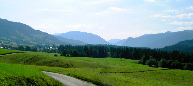 Grüne Wiesen mit einem Feldweg und Bergkulisse im Ammertal bei Altenau