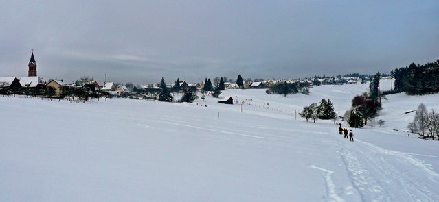 Winterlicher Blick über verschneite Wiesen auf Simmersfeld