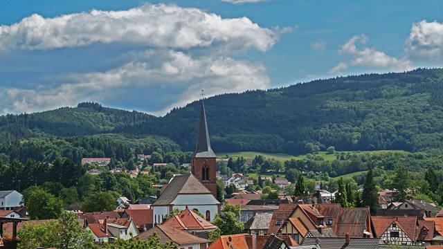 Odenwald mit Kindern: Drachen, Tiere und Märchengeschichten