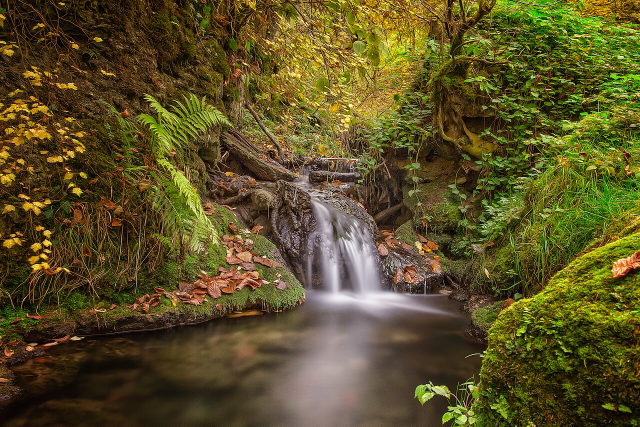 Bachlauf mit kleinem Wasserfall in der Mühlbachschlucht bei Tengen