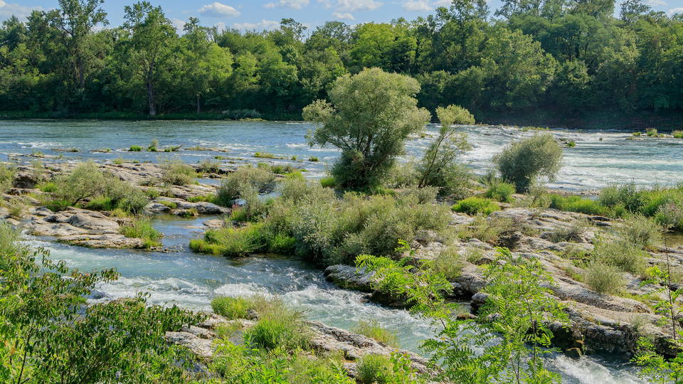 Felsen und Wasser an den Isteiner Schwellen im Rhein