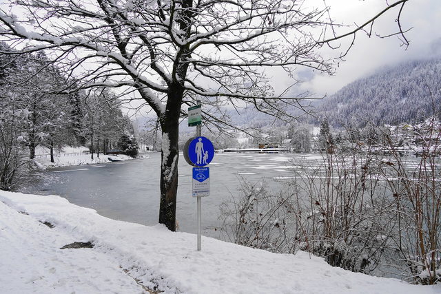 Winterliches Ufer des Afritzer Sees