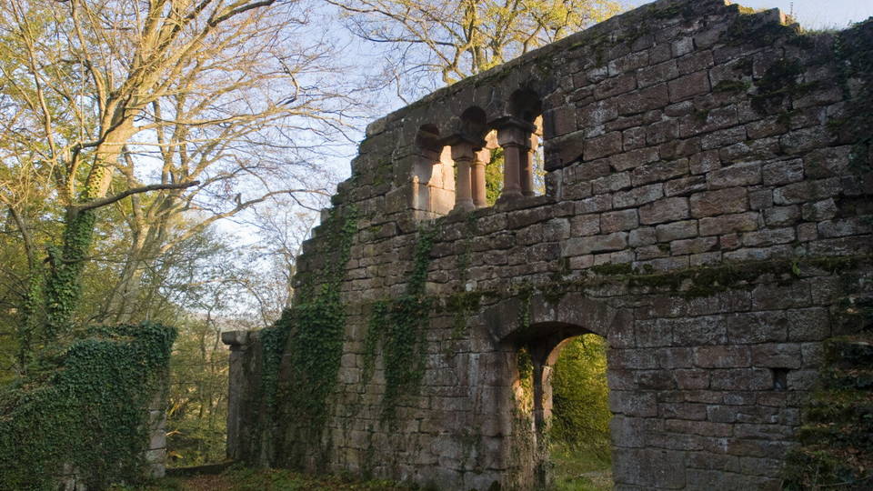 Erhaltene Steinmauer und Fensteröffnungen der Burgruine Eberbach.
