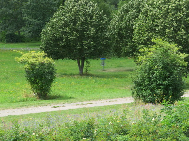 Symbolfoto: Discgolf-Zielkorb in einem Park; Aufnahme aus Helmstedt