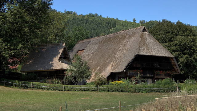 Kinzigtal und Seitentäler mit Kindern: Bauernhöfe, Bergbau und alte Mühlen